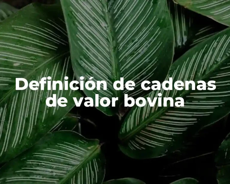 Definición de cadenas de valor bovina