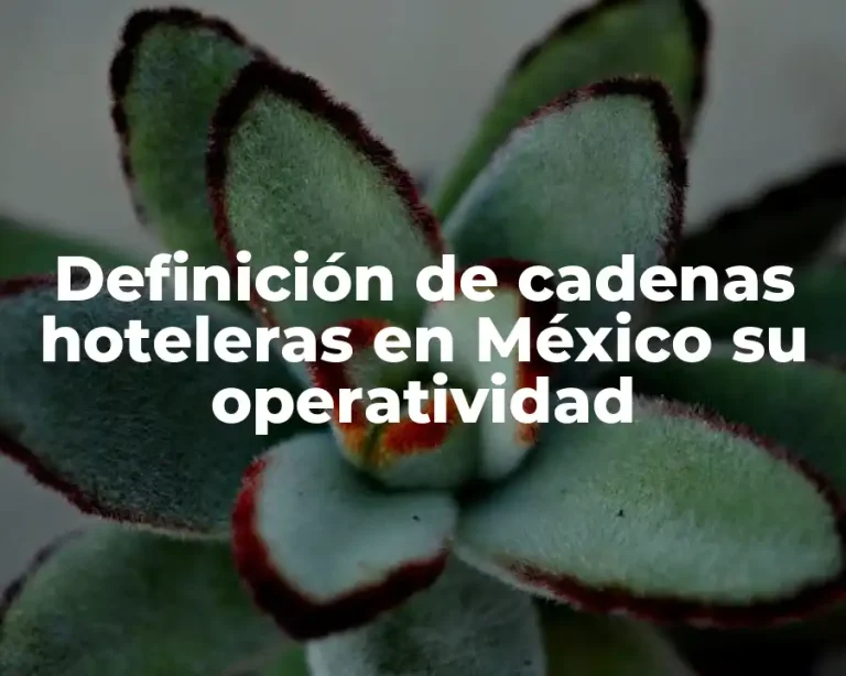 Definición de cadenas hoteleras en México su operatividad