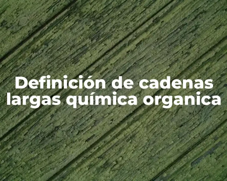 Definición de cadenas largas química organica
