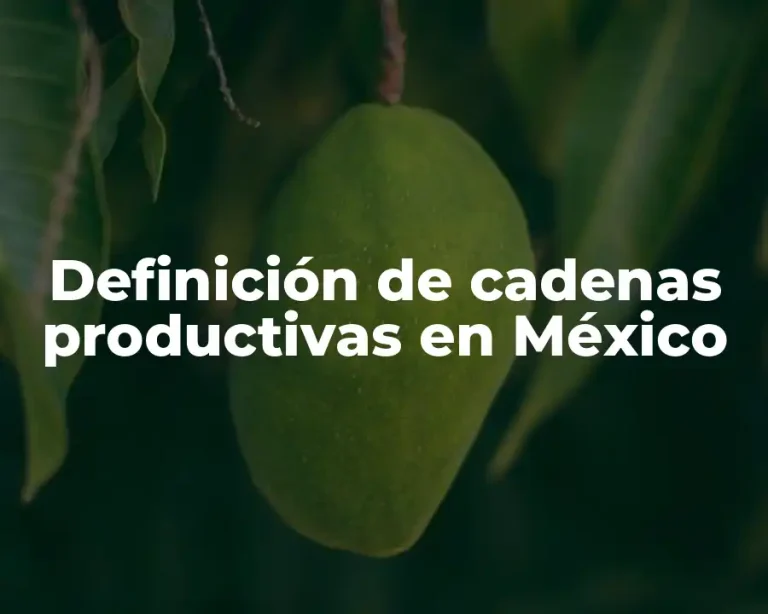 Definición de cadenas productivas en México