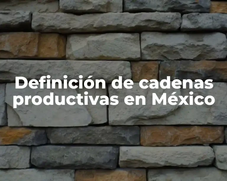 Definición de cadenas productivas en México