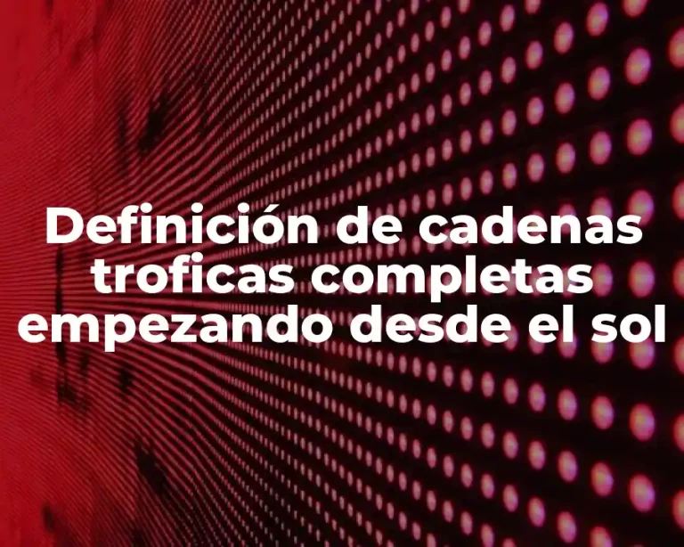 Definición de cadenas troficas completas empezando desde el sol