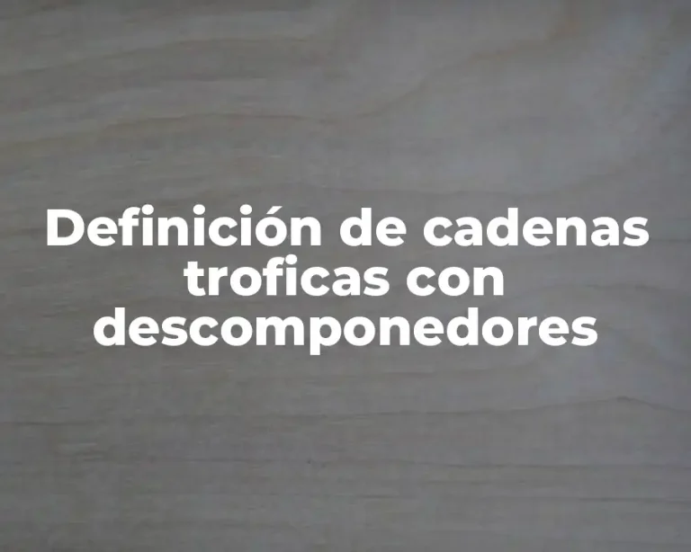 Definición de cadenas troficas con descomponedores