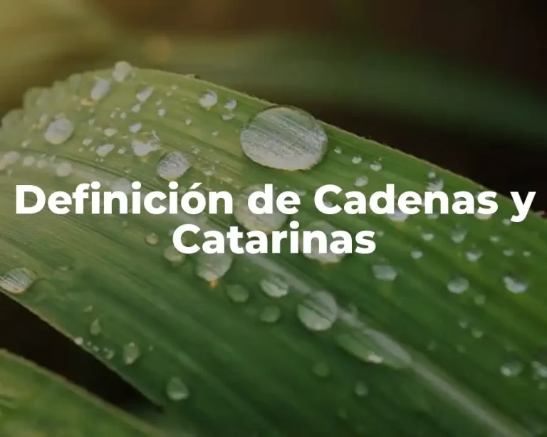Definición de Cadenas y Catarinas