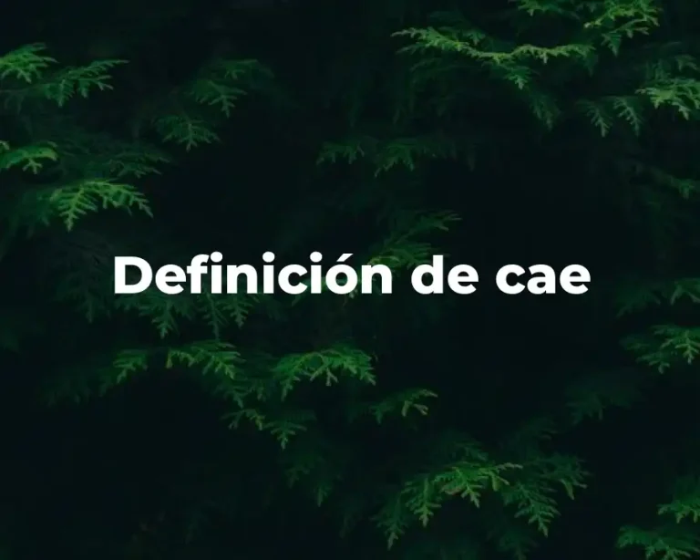 Definición de cae