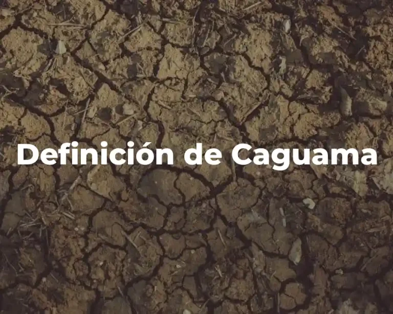 Definición de Caguama