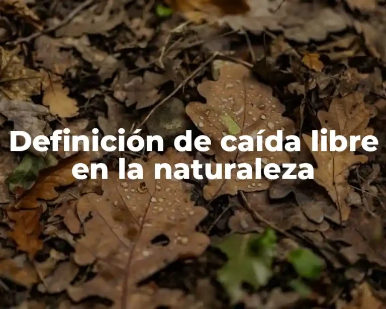 Definición de caída libre en la naturaleza