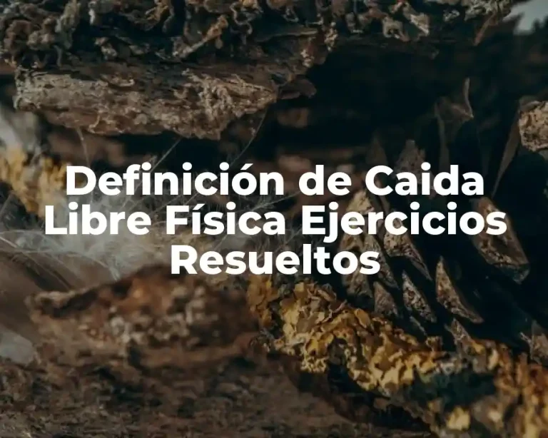 Definición de Caida Libre Física Ejercicios Resueltos