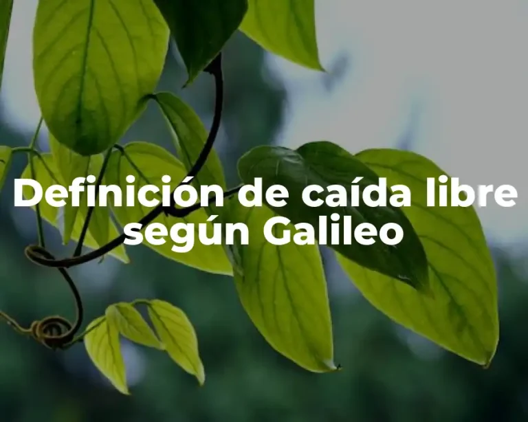 Definición de caída libre según Galileo