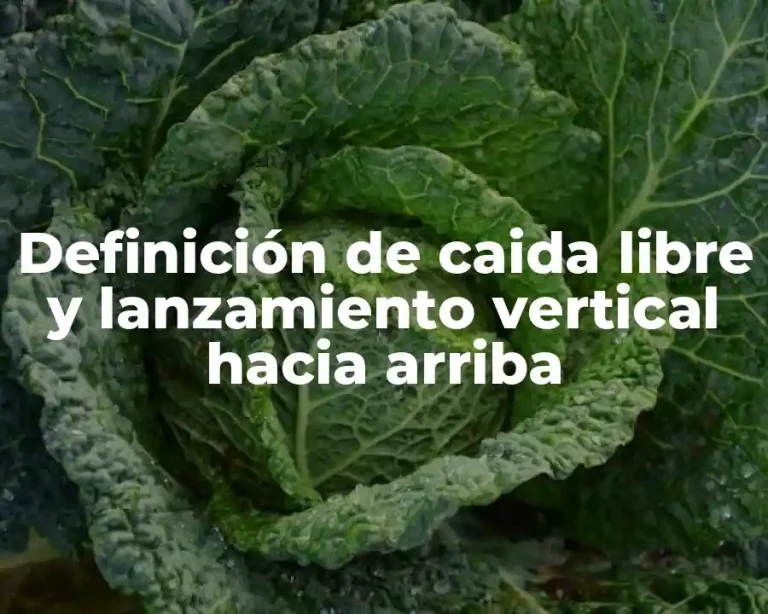 Definición de caida libre y lanzamiento vertical hacia arriba