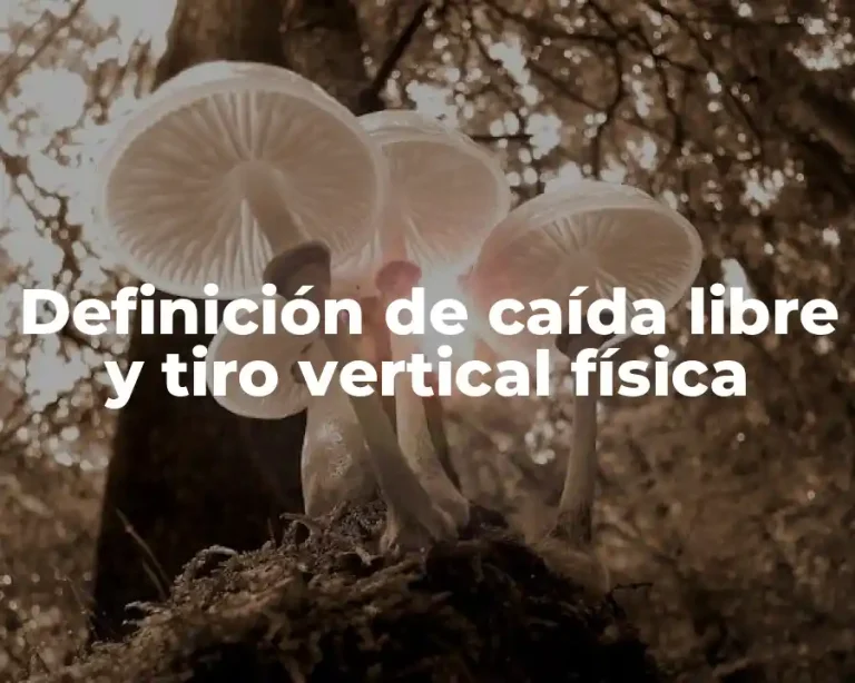 Definición de caída libre y tiro vertical física
