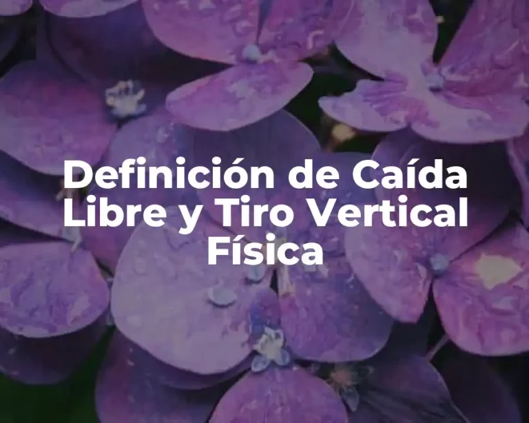 Definición de Caída Libre y Tiro Vertical Física