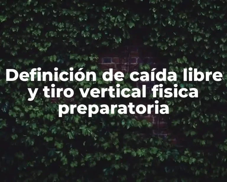 Definición de caída libre y tiro vertical fisica preparatoria
