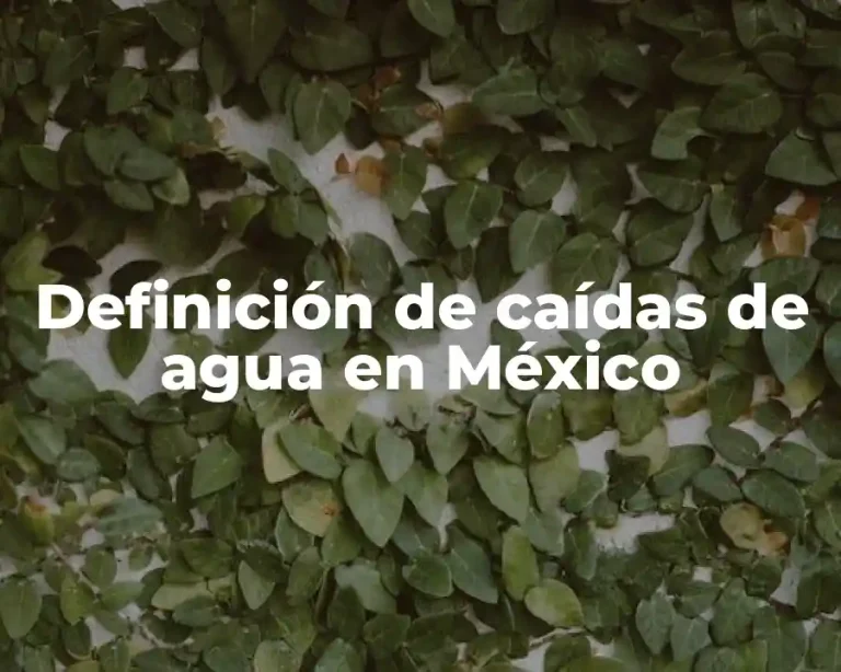 Definición de caídas de agua en México