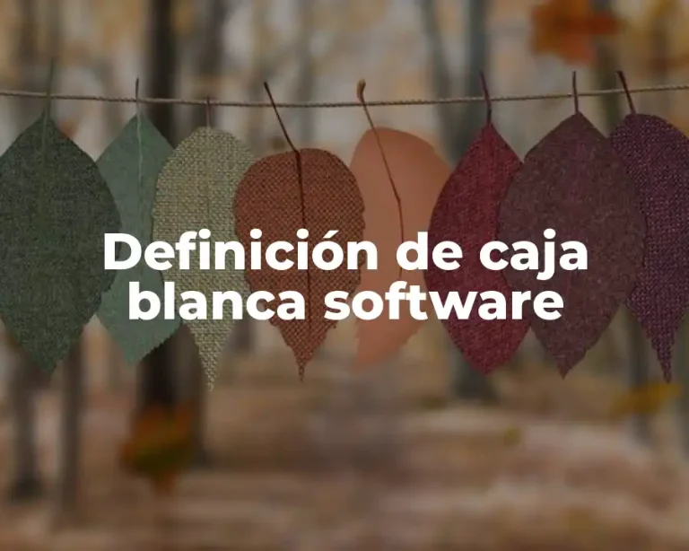Definición de caja blanca software
