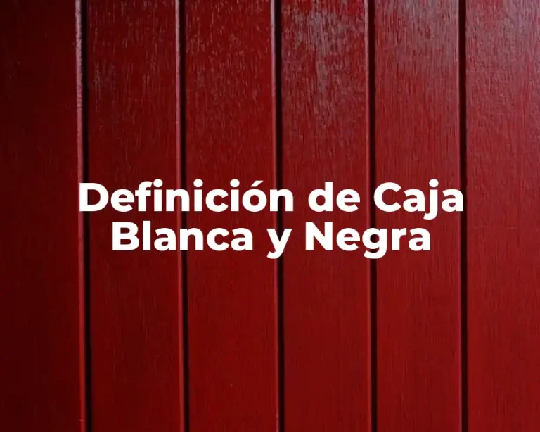 Definición de Caja Blanca y Negra