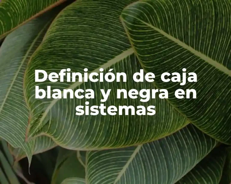 Definición de caja blanca y negra en sistemas