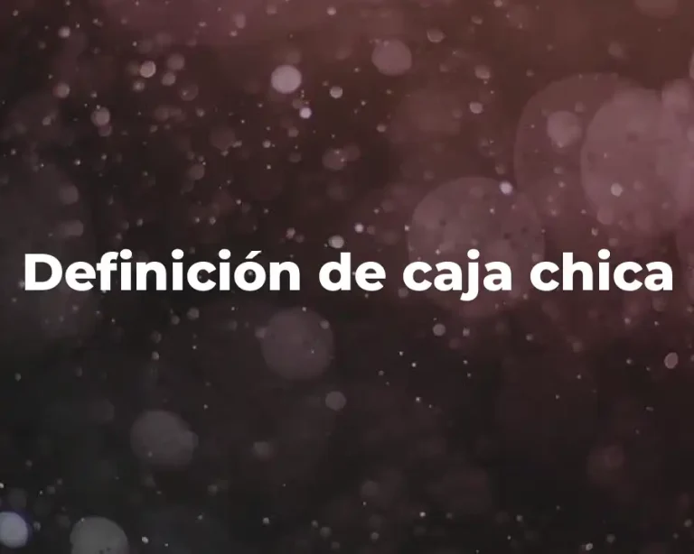 Definición de caja chica