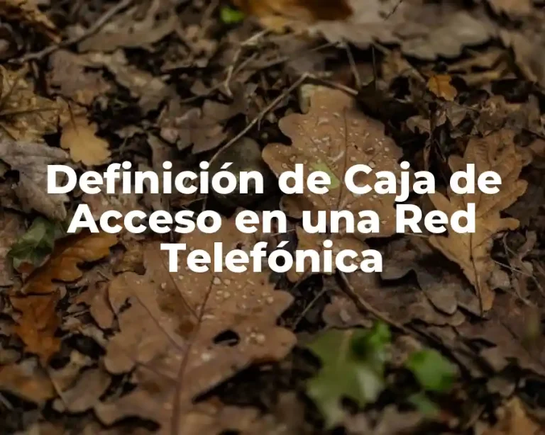 Definición de Caja de Acceso en una Red Telefónica