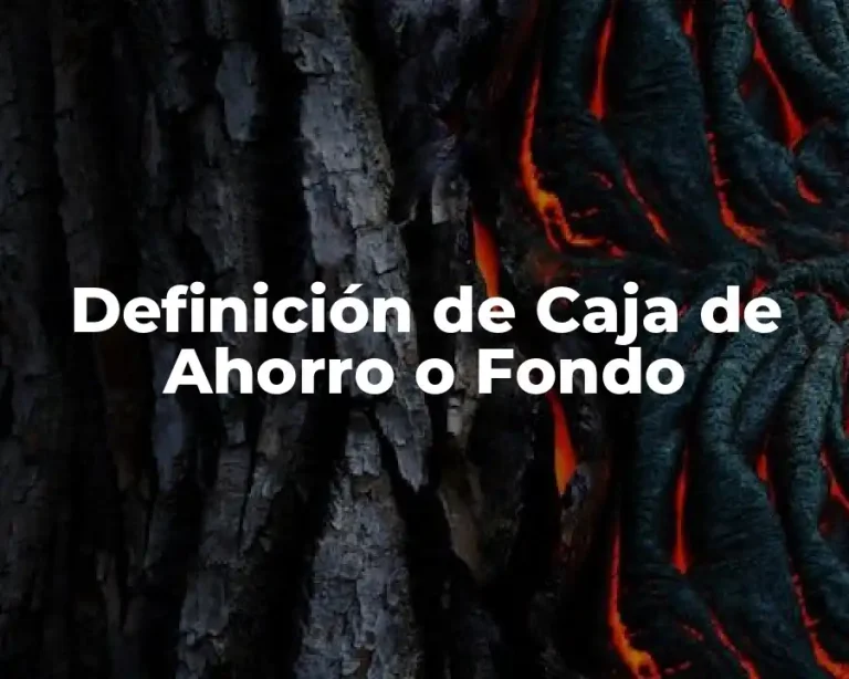 Definición de Caja de Ahorro o Fondo