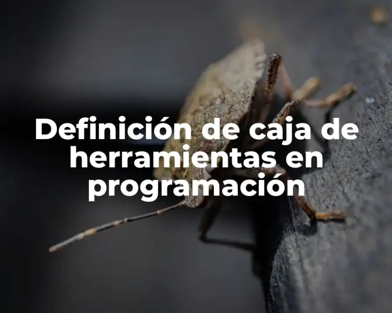 Definición de caja de herramientas en programación