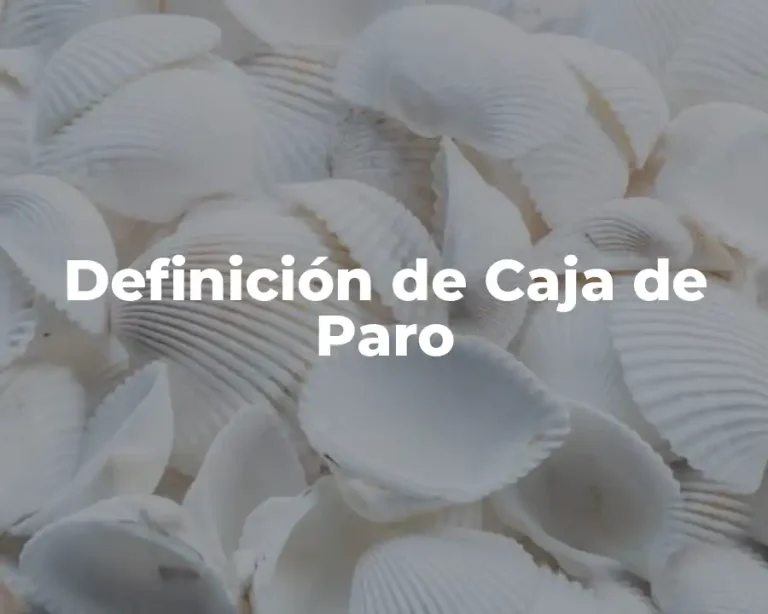 Definición de Caja de Paro