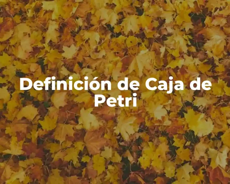 Definición de Caja de Petri