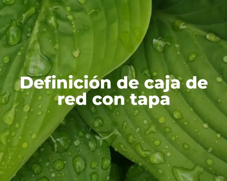Definición de caja de red con tapa