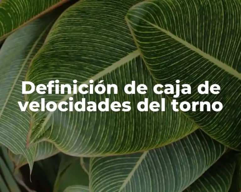 Definición de caja de velocidades del torno