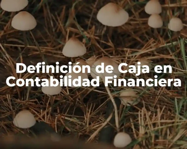 Definición de Caja en Contabilidad Financiera