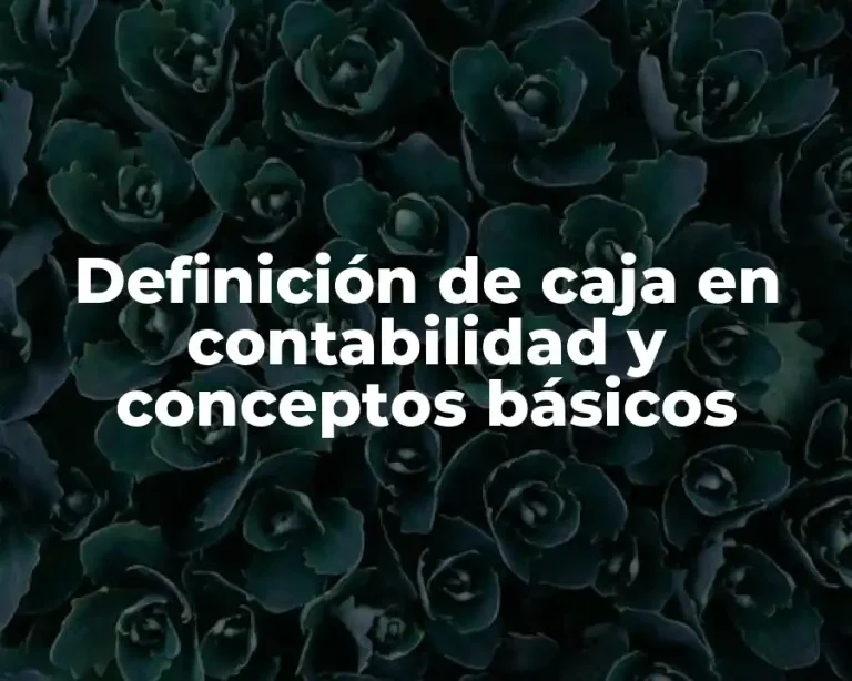Definición de caja en contabilidad y conceptos básicos