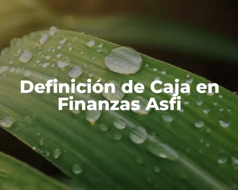 Definición de Caja en Finanzas Asfi
