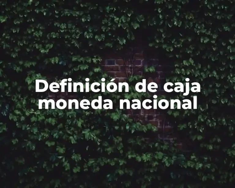 Definición de caja moneda nacional