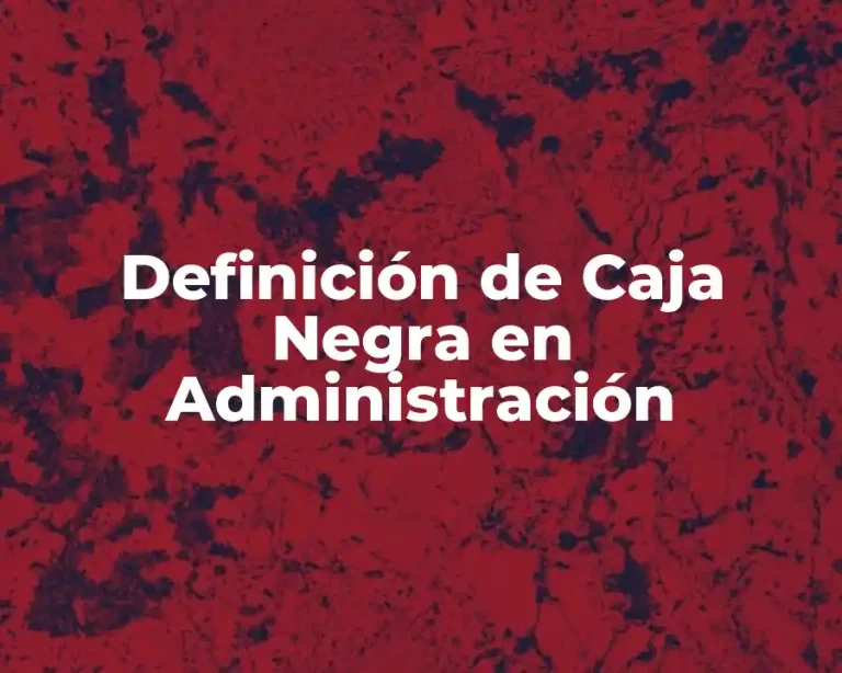 Definición de Caja Negra en Administración