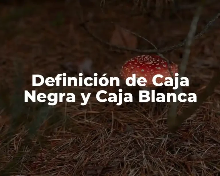 Definición de Caja Negra y Caja Blanca