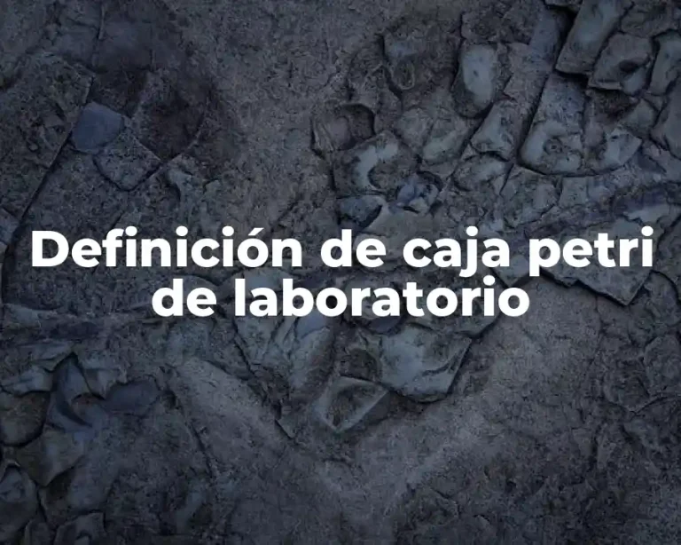Definición de caja petri de laboratorio