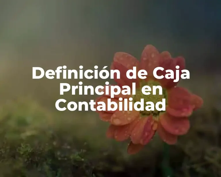 Definición de Caja Principal en Contabilidad