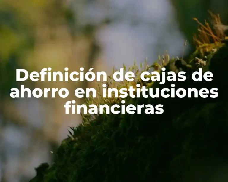Definición de cajas de ahorro en instituciones financieras