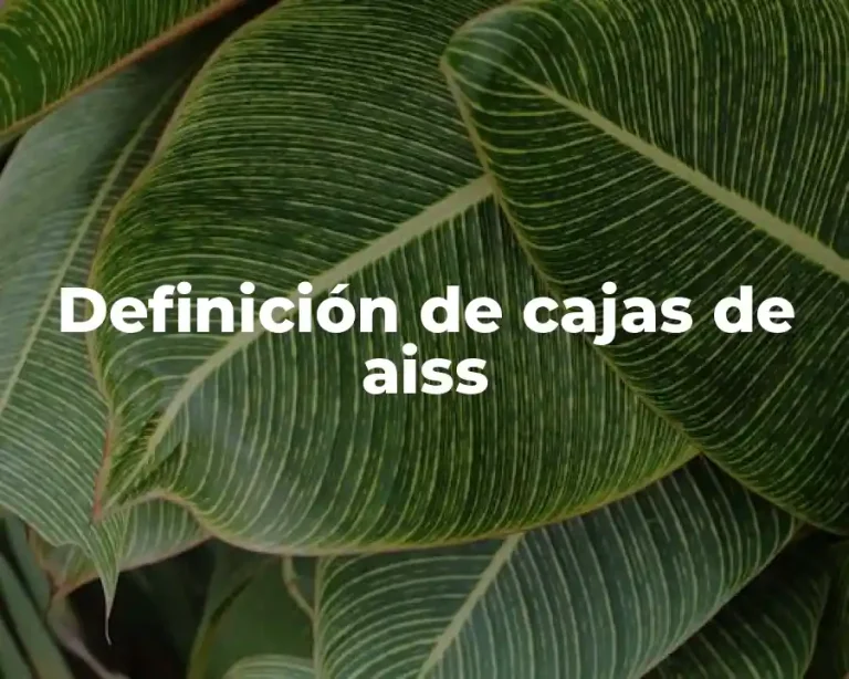 Definición de cajas de aiss