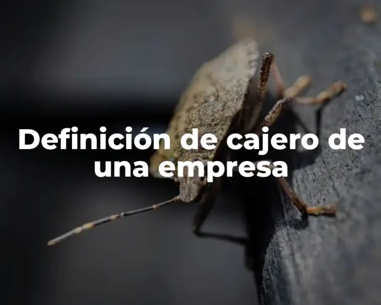 Definición de cajero de una empresa