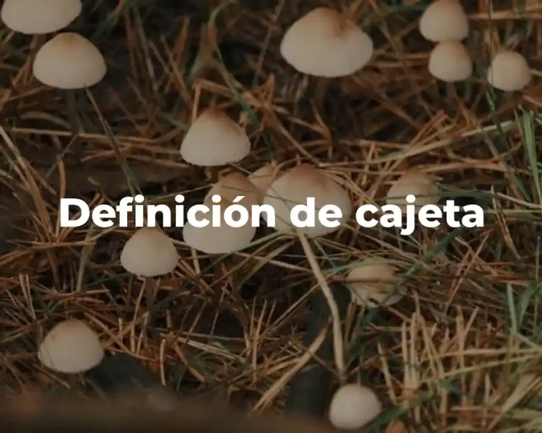 Definición de cajeta