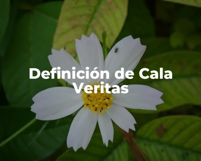 Definición de Cala Veritas