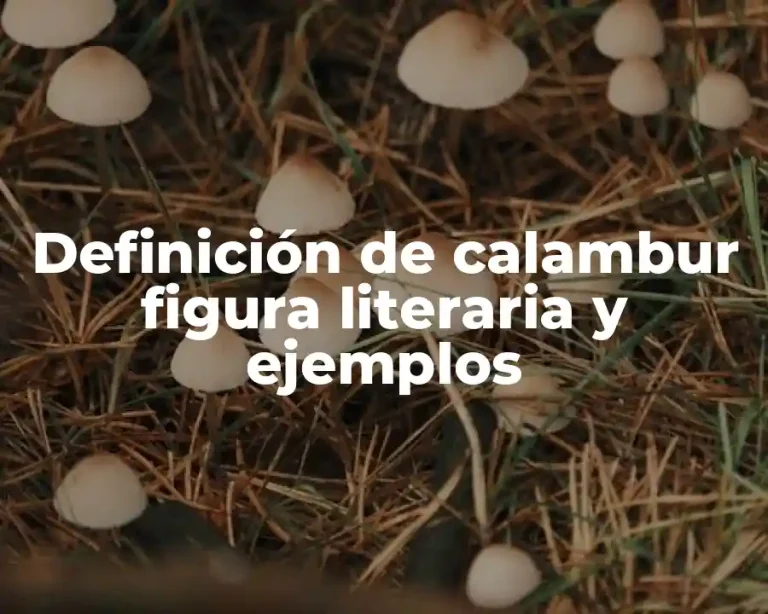 Definición de calambur figura literaria y ejemplos