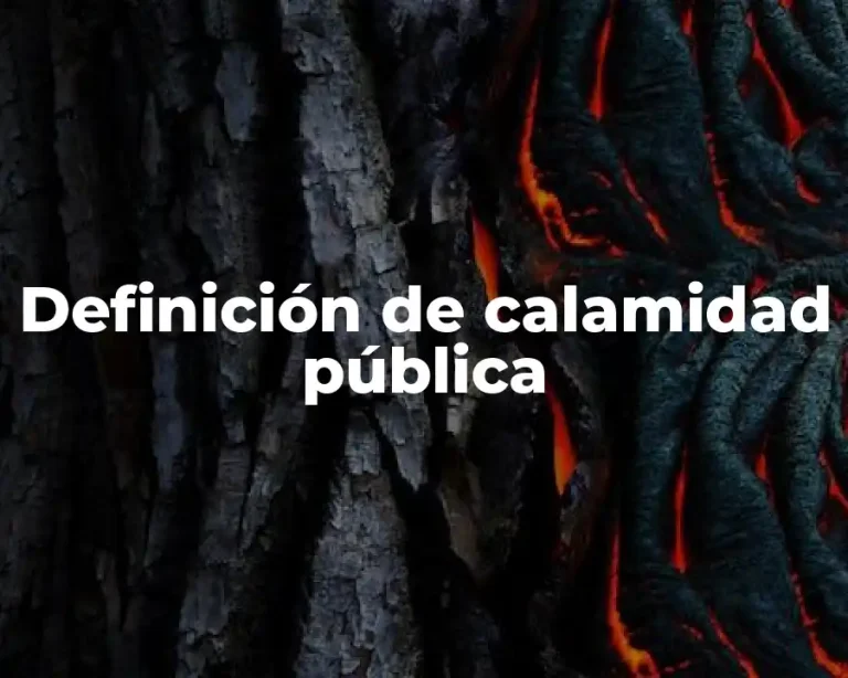 Definición de calamidad pública