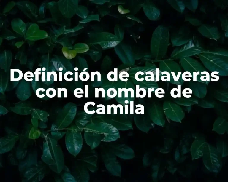 Definición de calaveras con el nombre de Camila