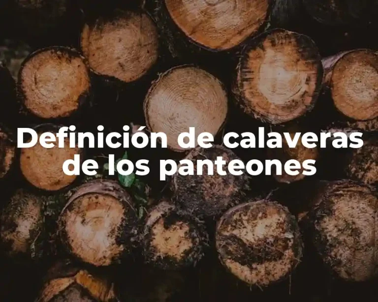 Definición de calaveras de los panteones