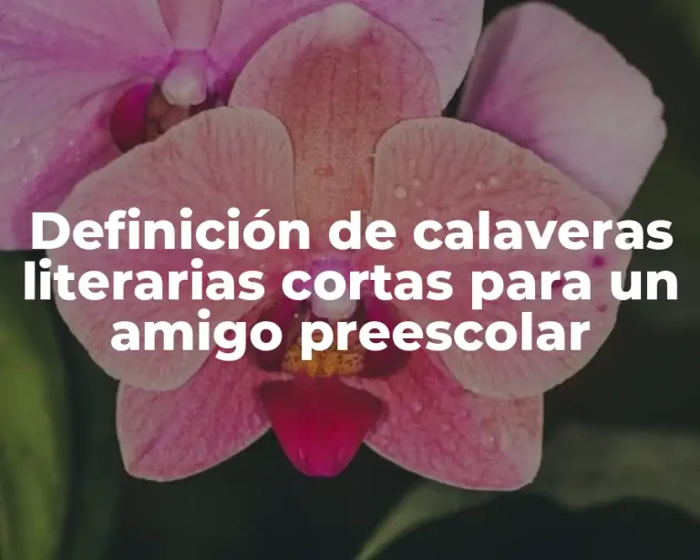Definición de calaveras literarias cortas para un amigo preescolar