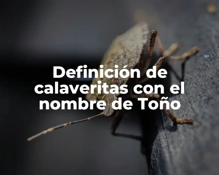 Definición de calaveritas con el nombre de Toño