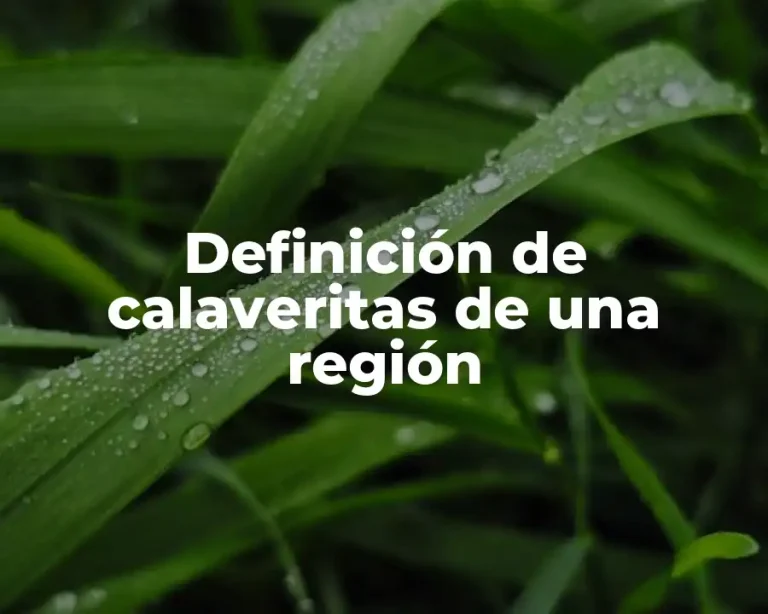 Definición de calaveritas de una región