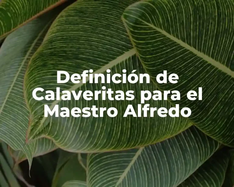 Definición de Calaveritas para el Maestro Alfredo